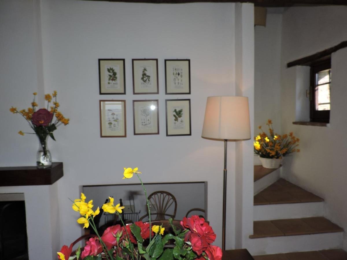 Villa Bellavista Celle sul Rigo Esterno foto