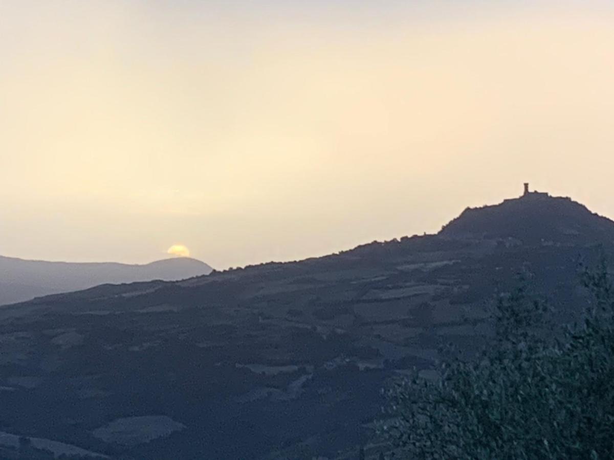 Villa Bellavista Celle sul Rigo Esterno foto